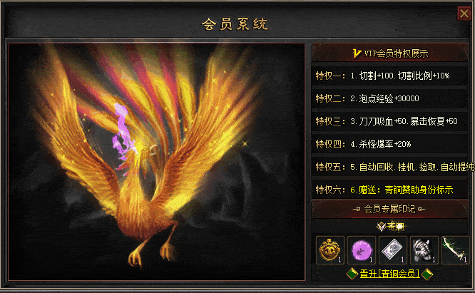 会员开通脚本-1