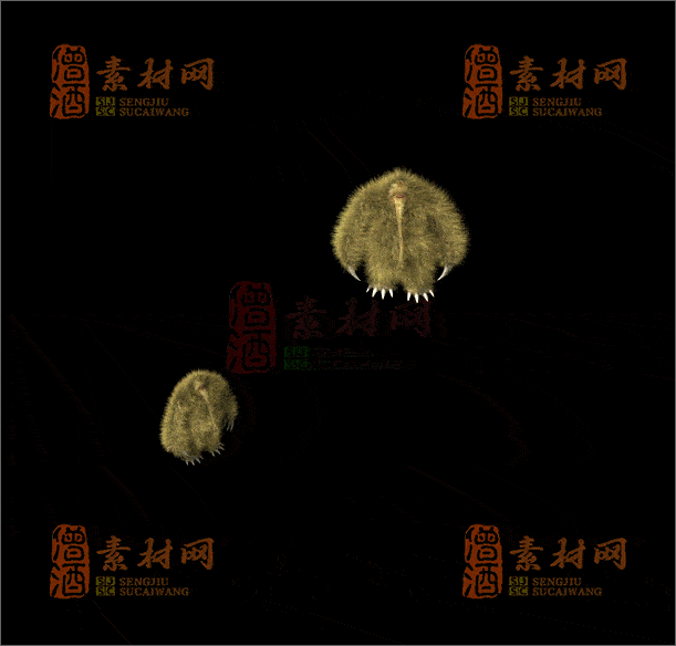 精品传奇一体时装素材20250701A：07-1