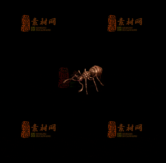 精品传奇一体时装系列素材20251007A：245-1