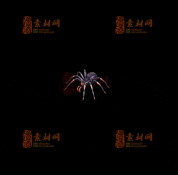 精品传奇一体时装系列素材20251007A：238-1