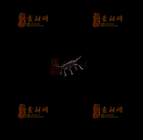 精品传奇一体时装系列素材20251007A：233-1