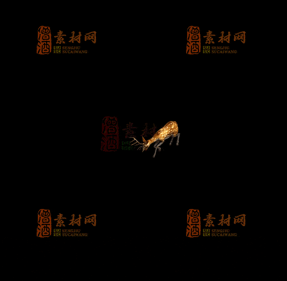 精品传奇一体时装系列素材20251007A：231-1